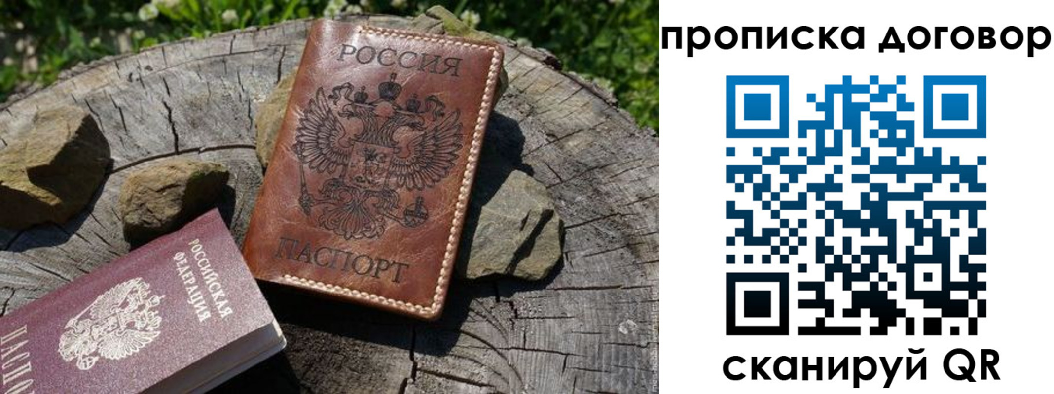 временная регистрация гарантия в Коле