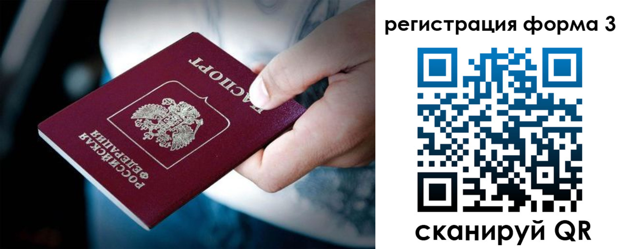 прописка для школы в Коле